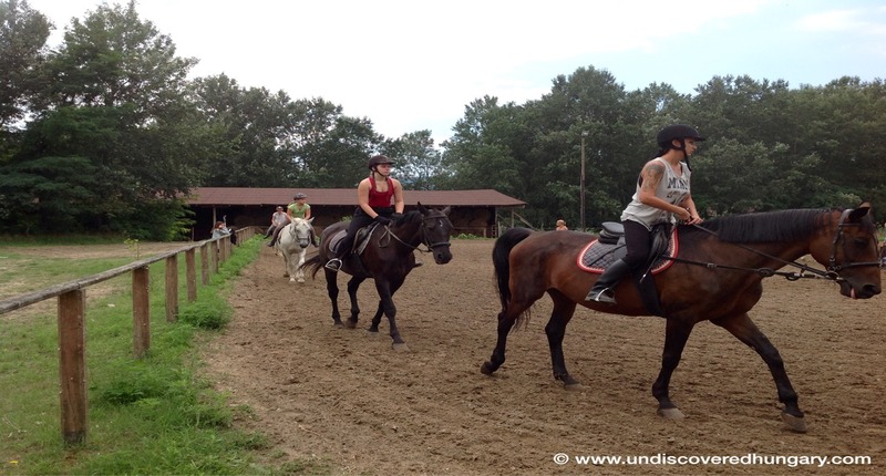Hungary Children/adult holiday camps with horse riding