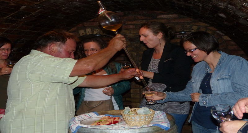 Hungary Wine tasting and harvest around Hungary and near Budapest