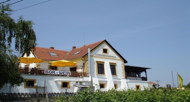 Hungary Bacchus Apartment and wine cellar, Badacsonytomaj