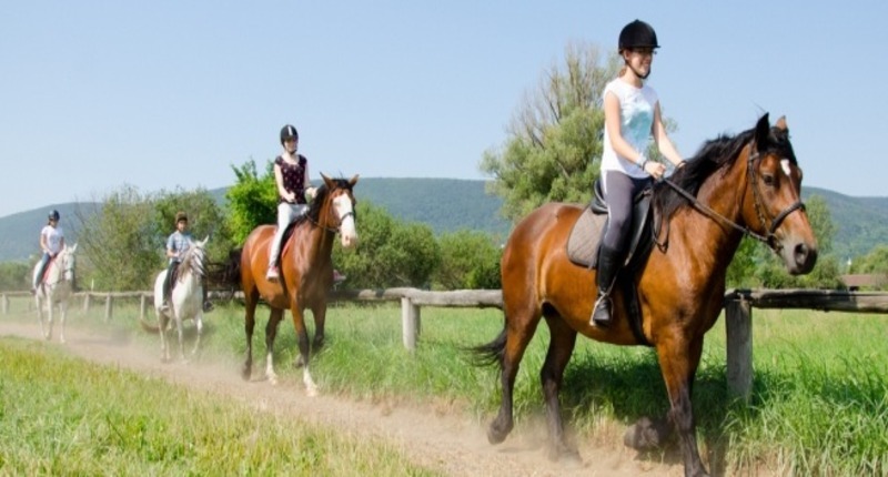 Hungary Horse riding and accommodation by Lake Balaton