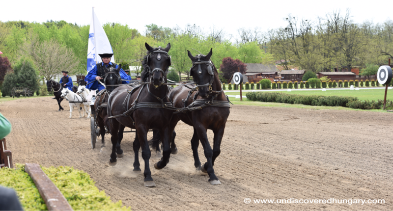 Hungary Horse show, meal and carriage ride (near Budapest)
